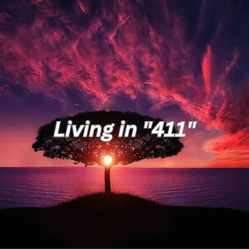 Guice'n'jin – Living in "411"